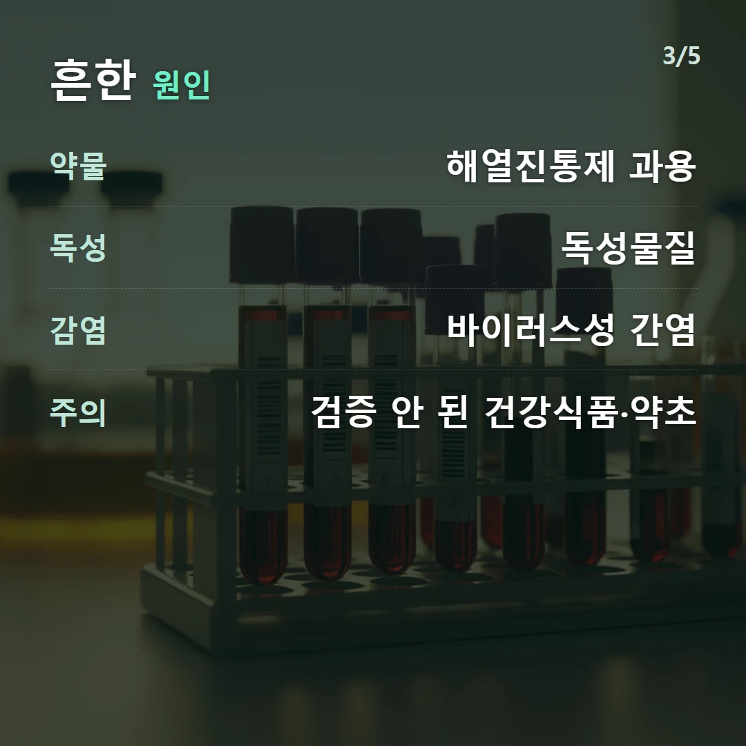 흔한 원인 — 약물 해열진통제 과용, 독성 독성물질, 감염 바이러스성 간염, 주의 검증 안 된 건강식품·약초