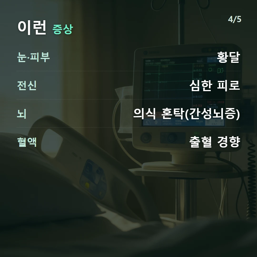 이런 증상 — 눈·피부 황달, 전신 심한 피로, 뇌 의식 혼탁(간성뇌증), 혈액 출혈 경향