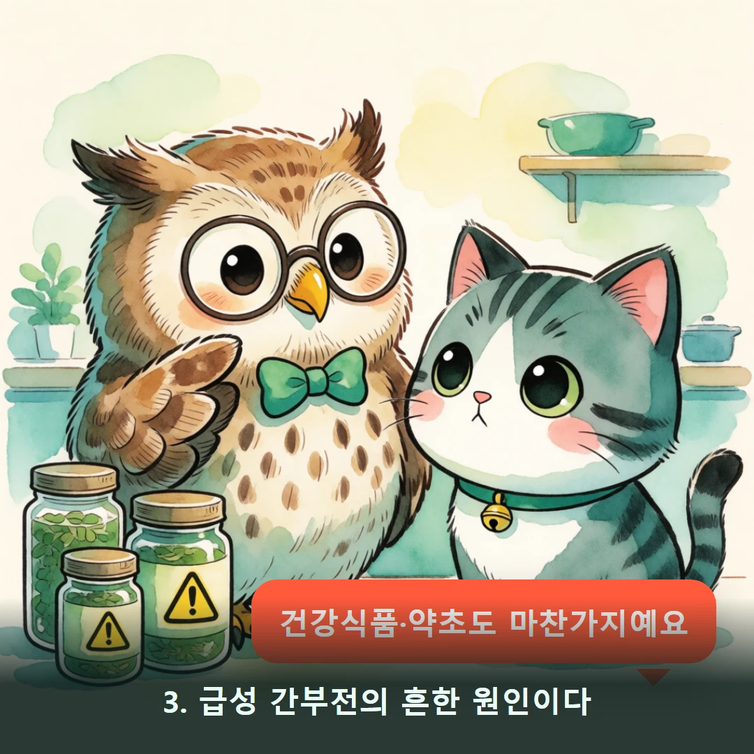 웹툰 3컷 — 3. 급성 간부전의 흔한 원인이다 (건강식품·약초도 마찬가지예요)