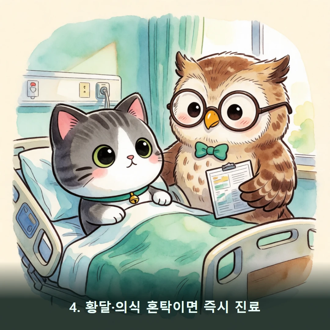 웹툰 4컷 — 4. 황달·의식 혼탁이면 즉시 진료