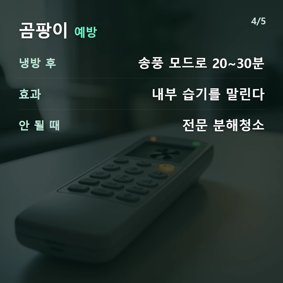 곰팡이 예방 — 냉방 후 송풍 모드로 20~30분, 효과 내부 습기를 말린다, 안 될 때 전문 분해청소
