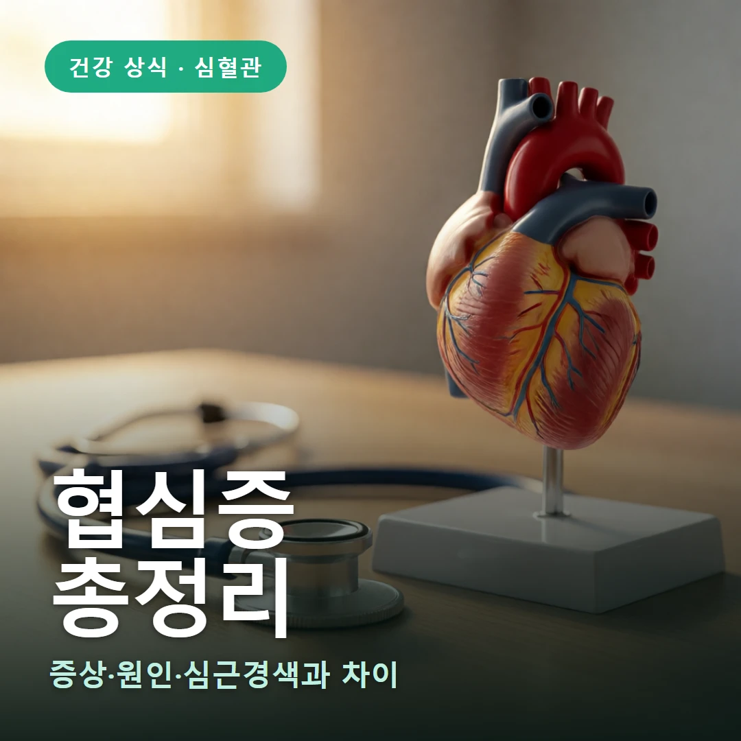 협심증 요약 표지 — 증상·원인·심근경색과 차이
