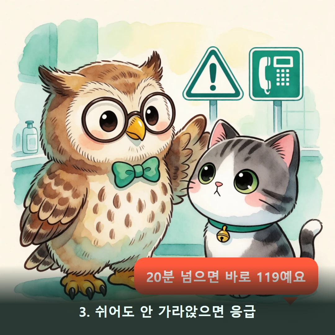 웹툰 3컷 — 3. 쉬어도 안 가라앉으면 응급 (20분 넘으면 바로 119예요)