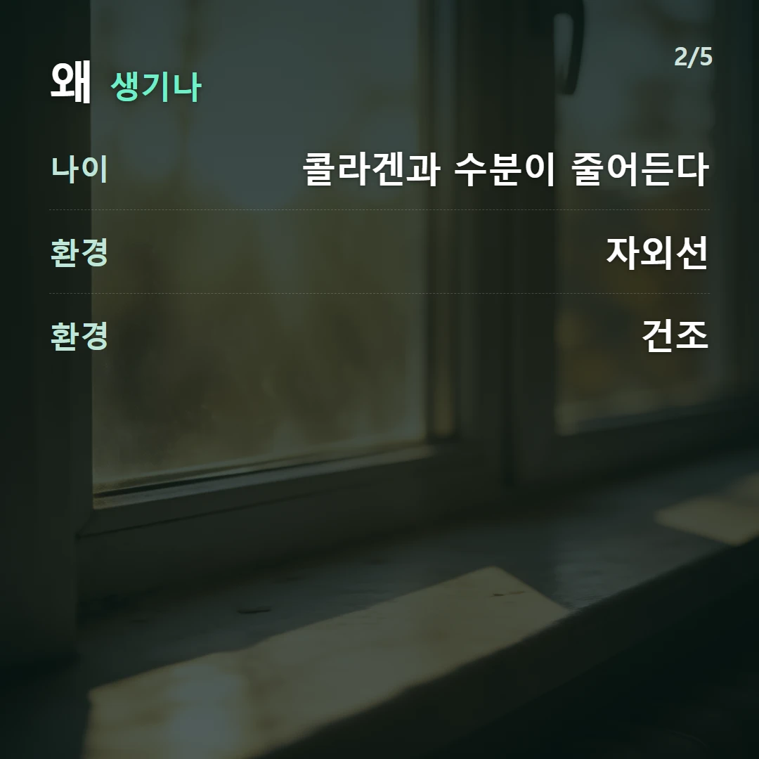 왜 생기나 — 나이 콜라겐과 수분이 줄어든다, 환경 자외선, 환경 건조