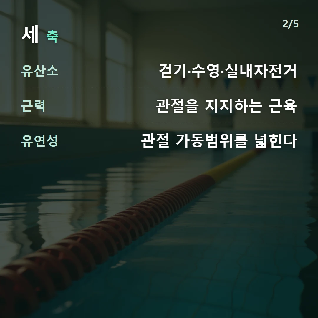 세 축 — 유산소 걷기·수영·실내자전거, 근력 관절을 지지하는 근육, 유연성 관절 가동범위를 넓힌다