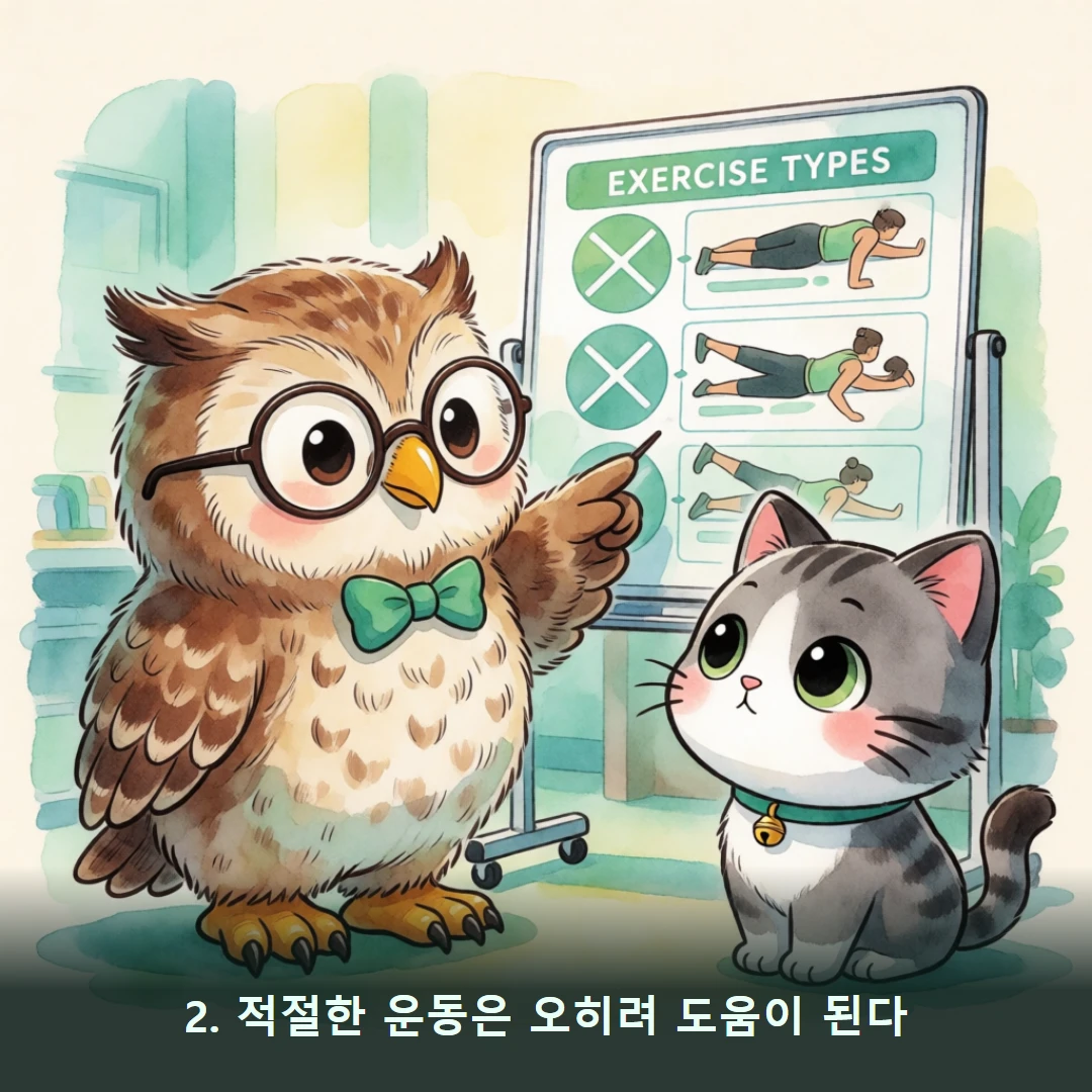 웹툰 2컷 — 2. 적절한 운동은 오히려 도움이 된다