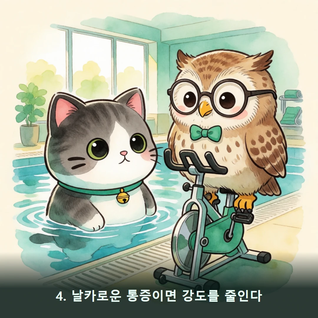 웹툰 4컷 — 4. 날카로운 통증이면 강도를 줄인다