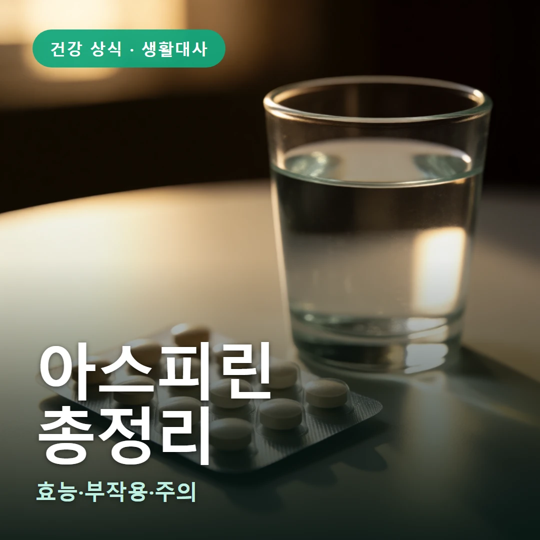 아스피린 요약 표지 — 효능·부작용·주의