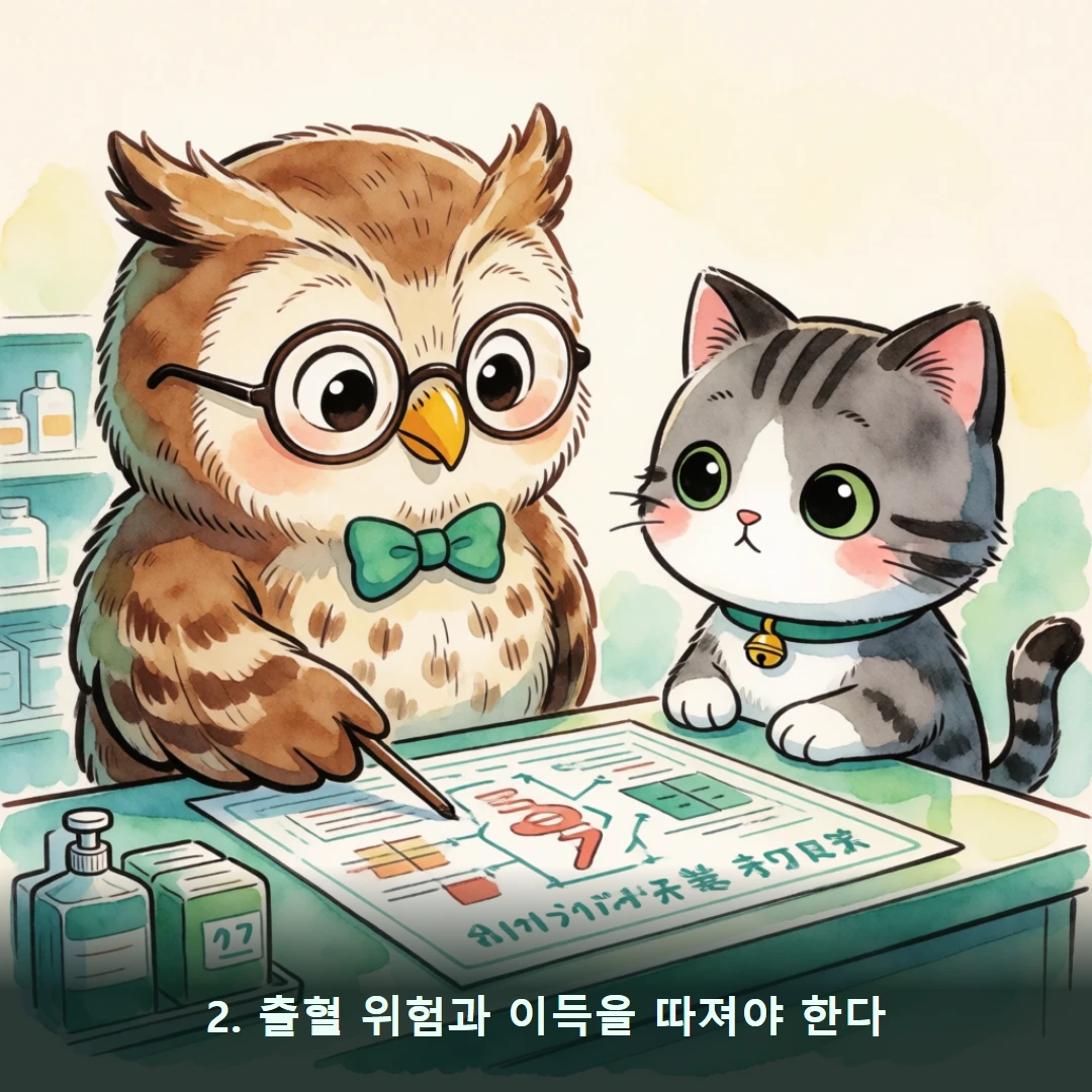 웹툰 2컷 — 2. 출혈 위험과 이득을 따져야 한다