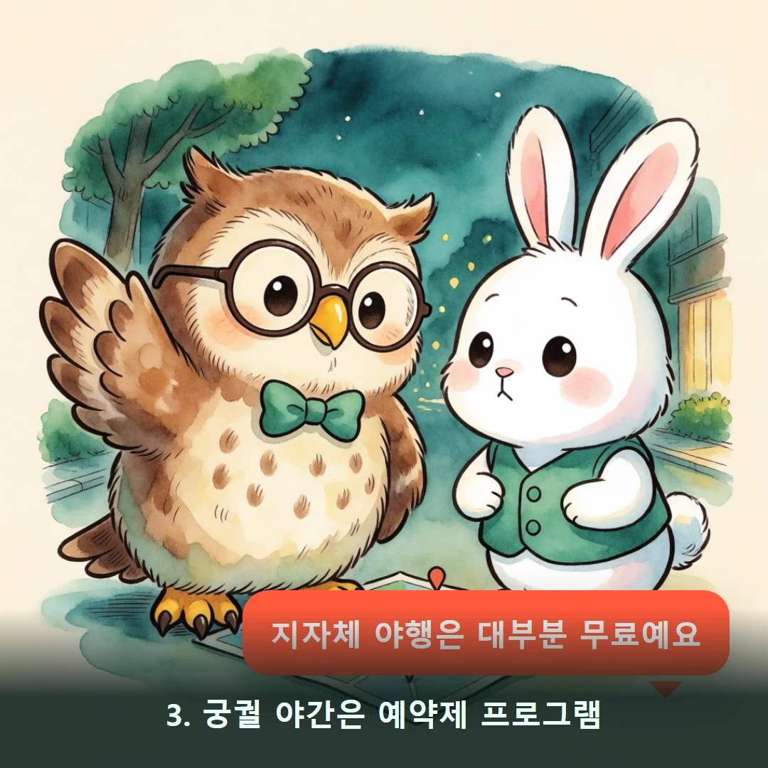 웹툰 3컷 — 3. 궁궐 야간은 예약제 프로그램 (지자체 야행은 대부분 무료예요)