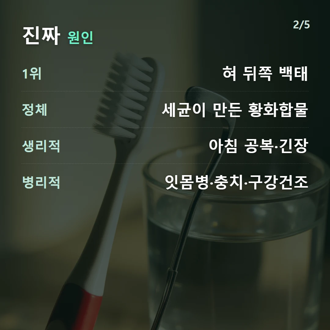진짜 원인 — 1위 혀 뒤쪽 백태, 정체 세균이 만든 황화합물, 생리적 아침 공복·긴장, 병리적 잇몸병·충치·구강건조