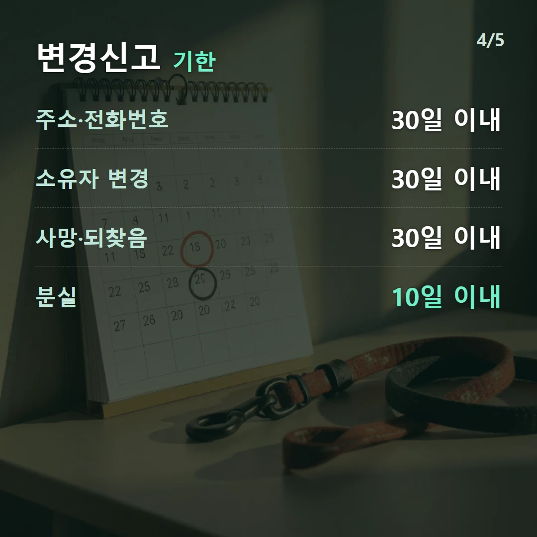 변경신고 기한 — 주소·전화번호 30일 이내, 소유자 변경 30일 이내, 사망·되찾음 30일 이내, 분실 10일 이내
