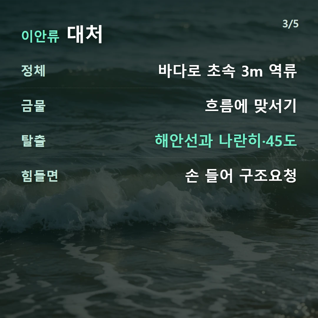 이안류 대처 — 정체 바다로 초속 3m 역류, 금물 흐름에 맞서기, 탈출 해안선과 나란히·45도, 힘들면 손 들어 구조요청