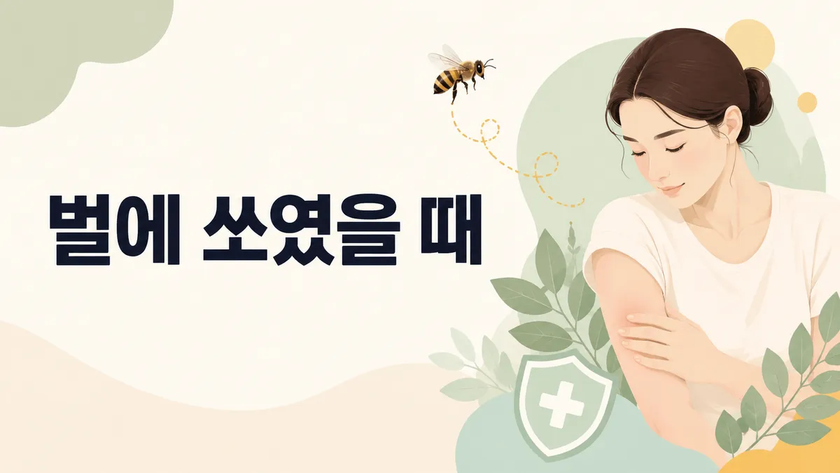 벌에 쏘였을 때 응급처치 — 벌초철 필수