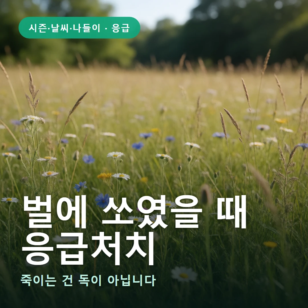 벌에 쏘였을 때 요약 표지 — 죽이는 건 독이 아닙니다