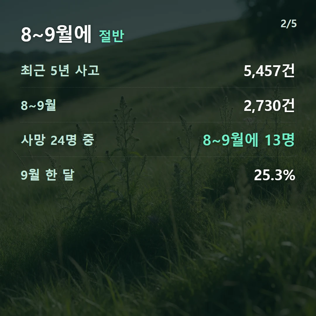 8~9월에 절반 — 최근 5년 사고 5,457건, 8~9월 2,730건, 사망 24명 중 8~9월에 13명, 9월 한 달 25.3%