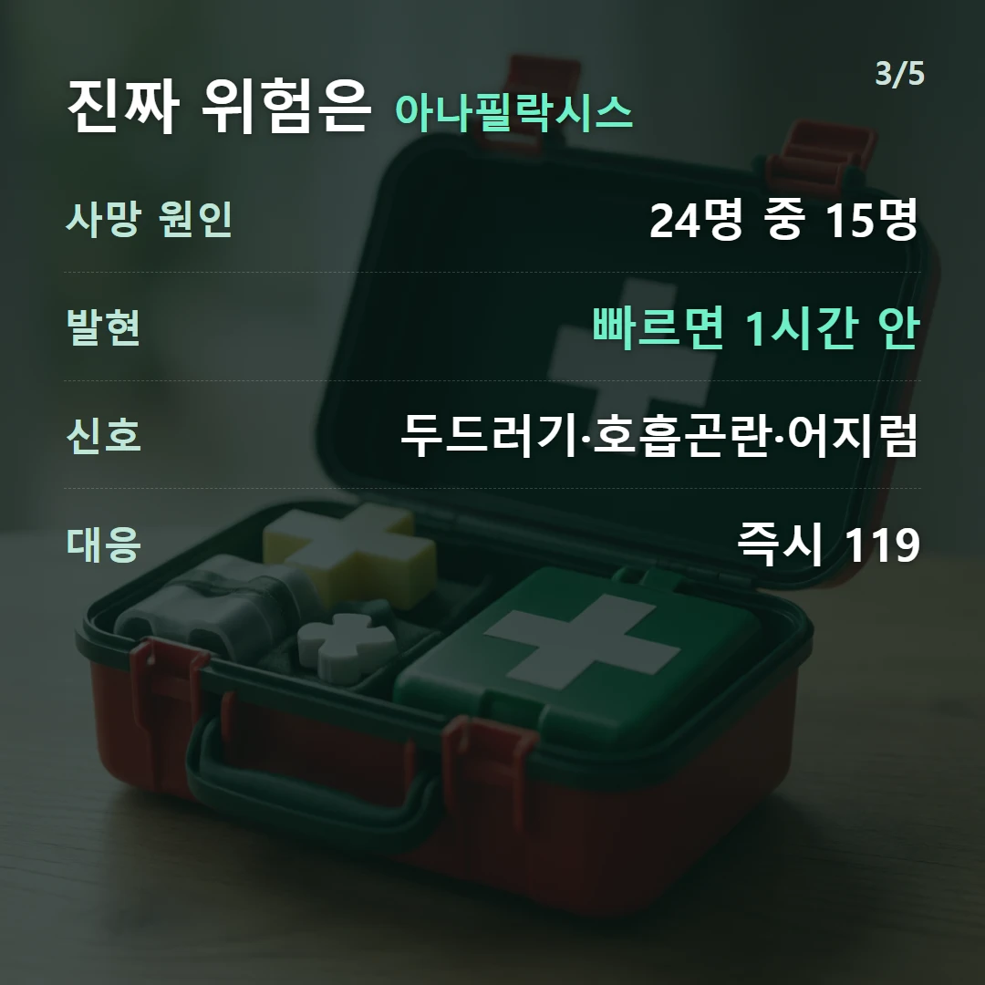 진짜 위험은 아나필락시스 — 사망 원인 24명 중 15명, 발현 빠르면 1시간 안, 신호 두드러기·호흡곤란·어지럼, 대응 즉시 119