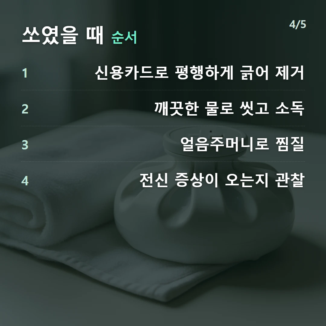쏘였을 때 순서 — 1 신용카드로 평행하게 긁어 제거, 2 깨끗한 물로 씻고 소독, 3 얼음주머니로 찜질, 4 전신 증상이 오는지 관찰