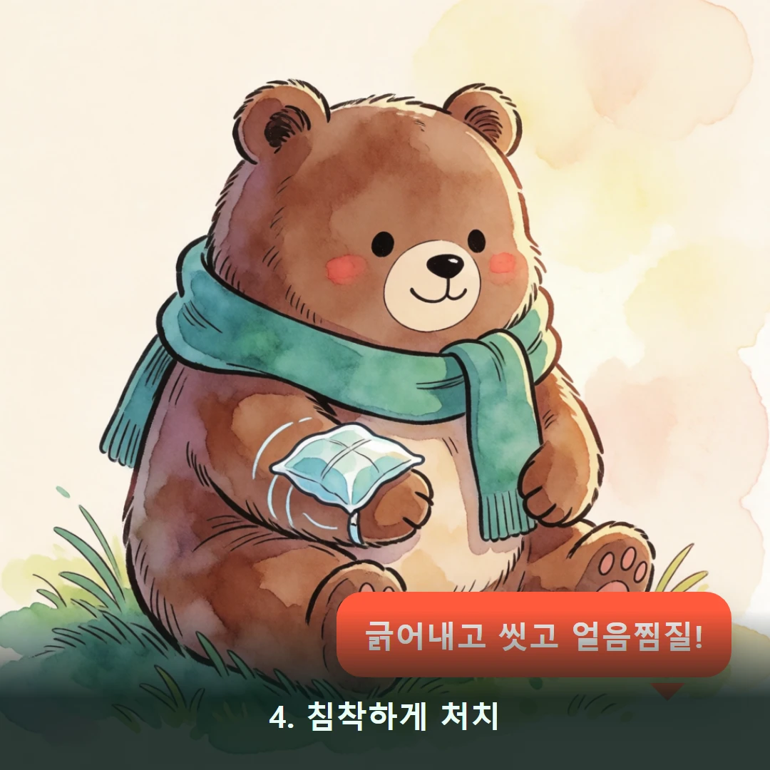 웹툰 4컷 — 4. 침착하게 처치 (긁어내고 씻고 얼음찜질!)