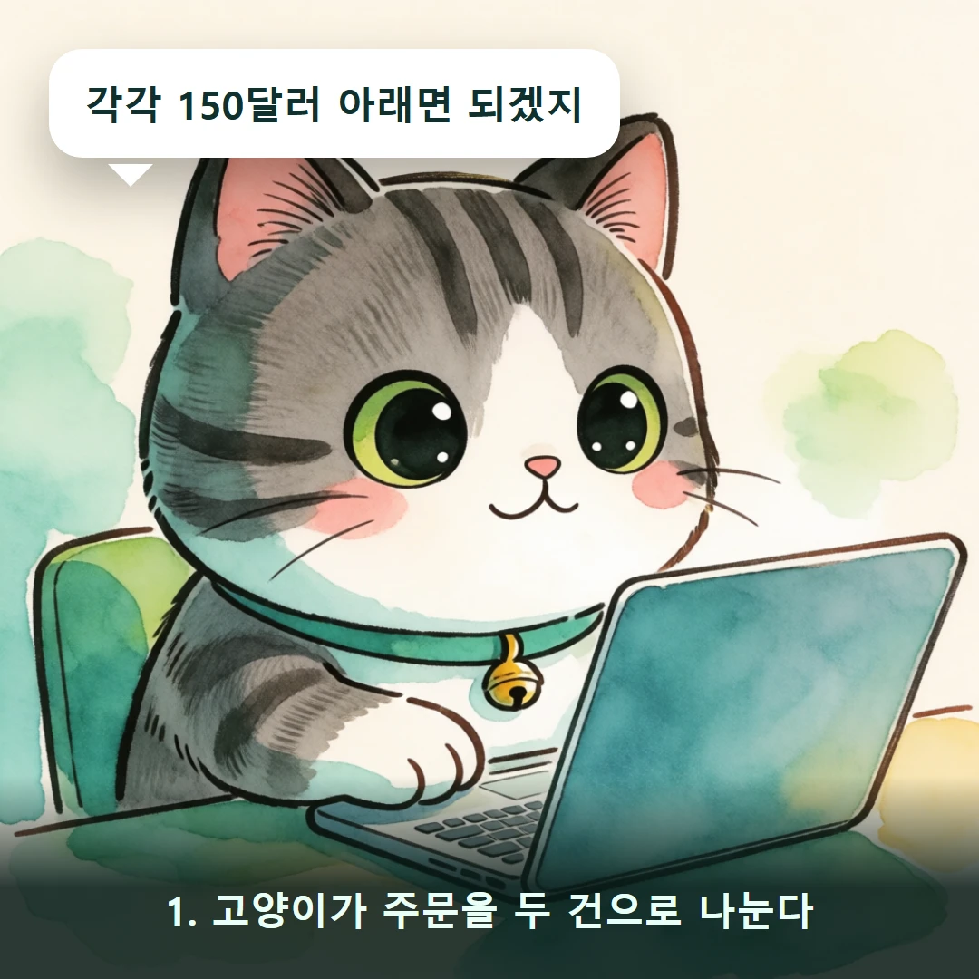 웹툰 1컷 — 1. 고양이가 주문을 두 건으로 나눈다 (각각 150달러 아래면 되겠지)