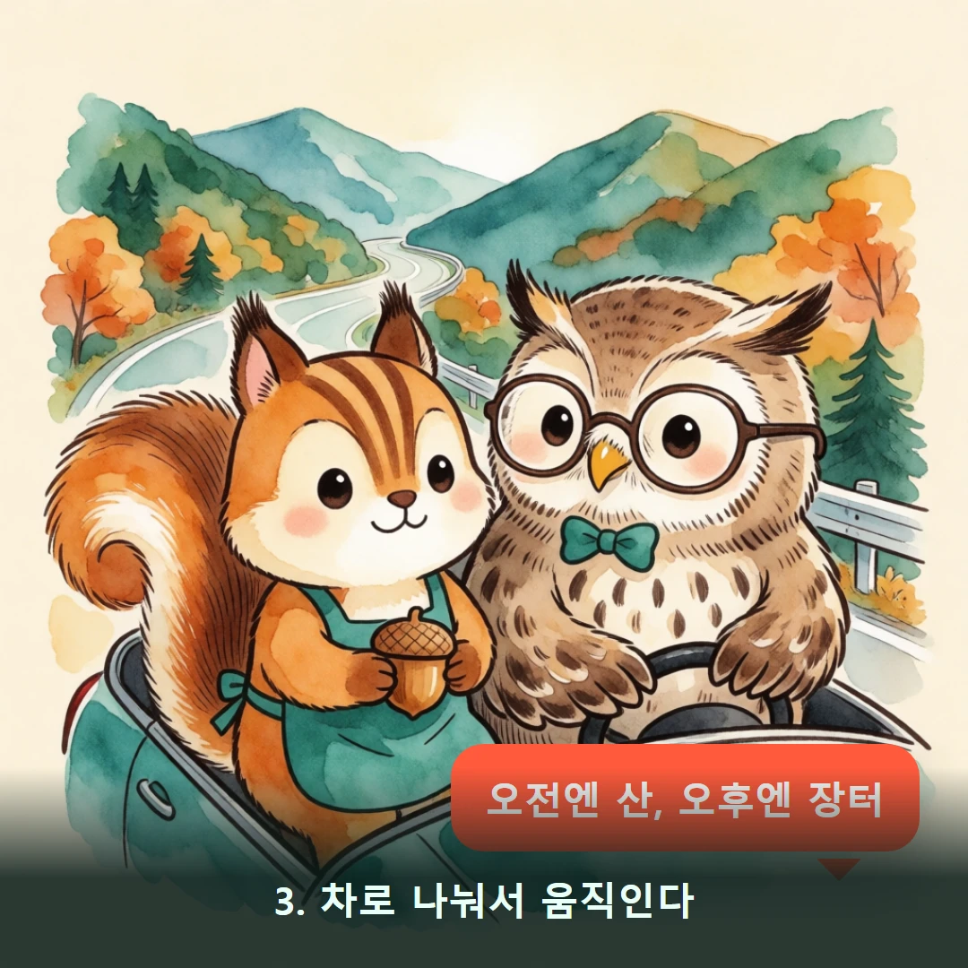 웹툰 3컷 — 3. 차로 나눠서 움직인다 (오전엔 산, 오후엔 장터)