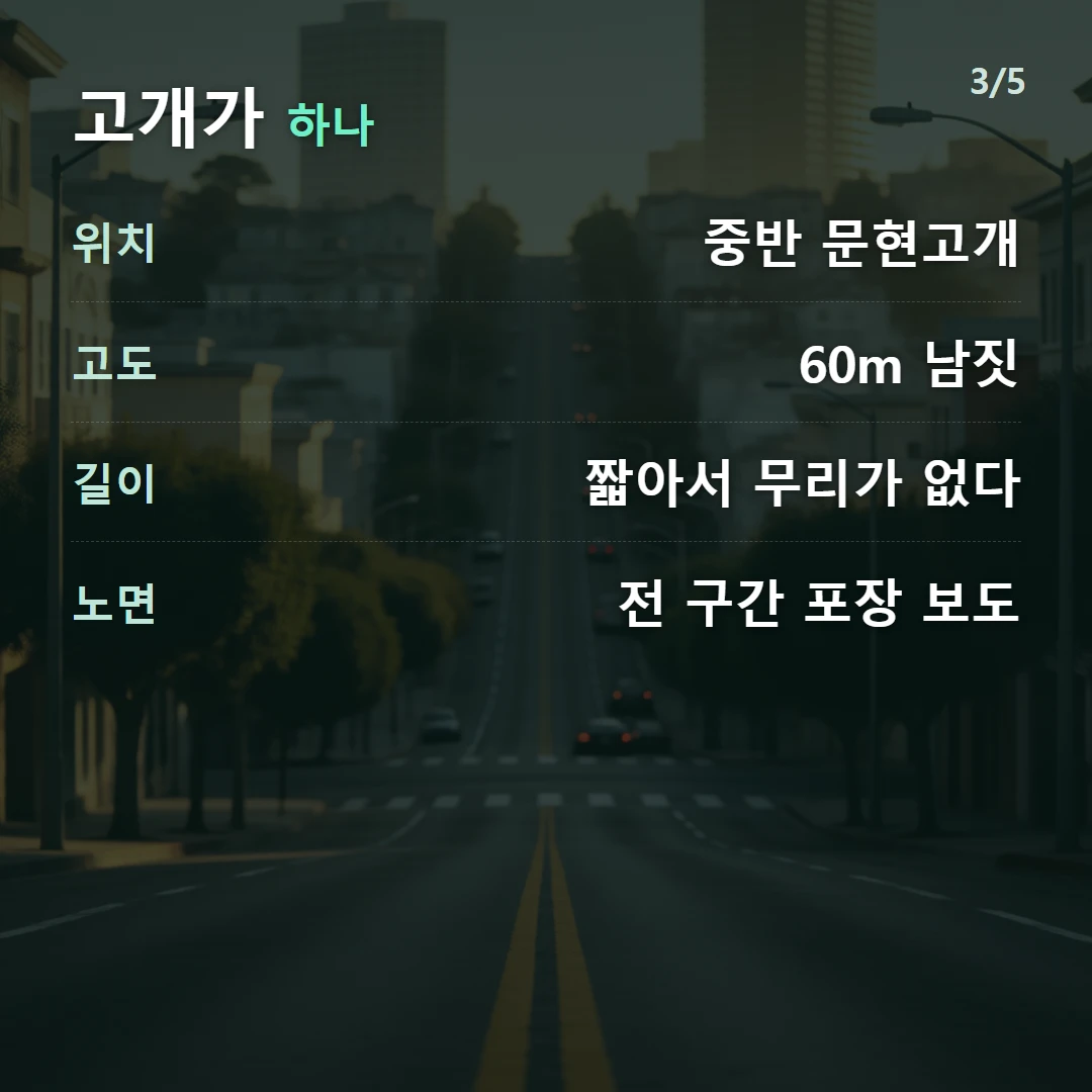 고개가 하나 — 위치 중반 문현고개, 고도 60m 남짓, 길이 짧아서 무리가 없다, 노면 전 구간 포장 보도