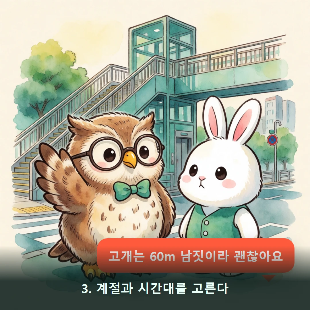 웹툰 3컷 — 3. 계절과 시간대를 고른다 (고개는 60m 남짓이라 괜찮아요)