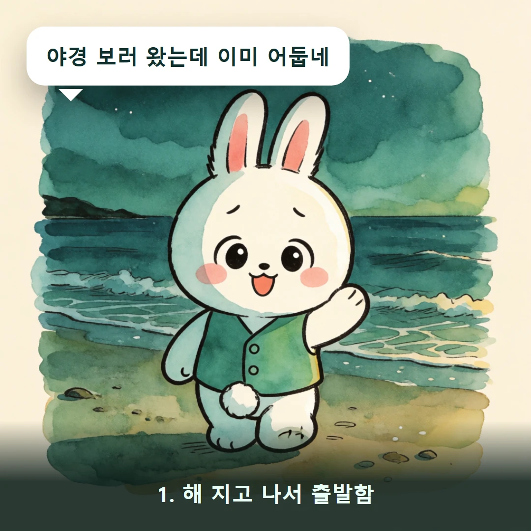 웹툰 1컷 — 1. 해 지고 나서 출발함 (야경 보러 왔는데 이미 어둡네)