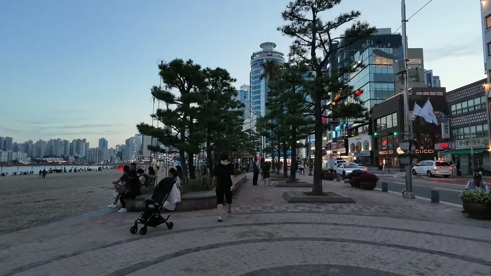 광안리 해수욕장의 백사장과 파라솔, 소나무가 보이는 산책로