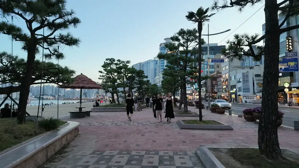 광안리 백사장 옆으로 소나무가 심긴 포장 산책로