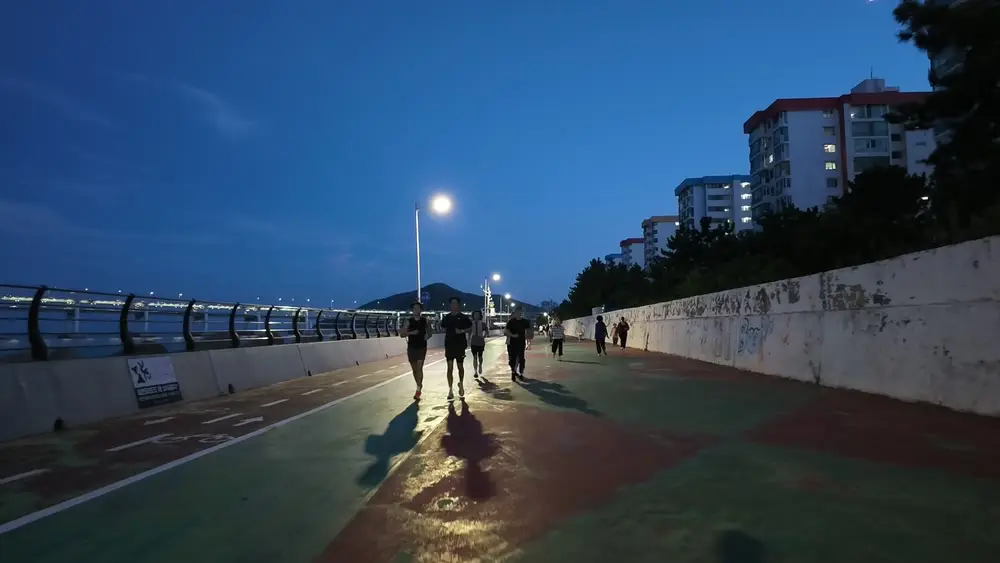 가로등이 켜진 남천동 수변 산책로와 보행로·자전거길 구분선