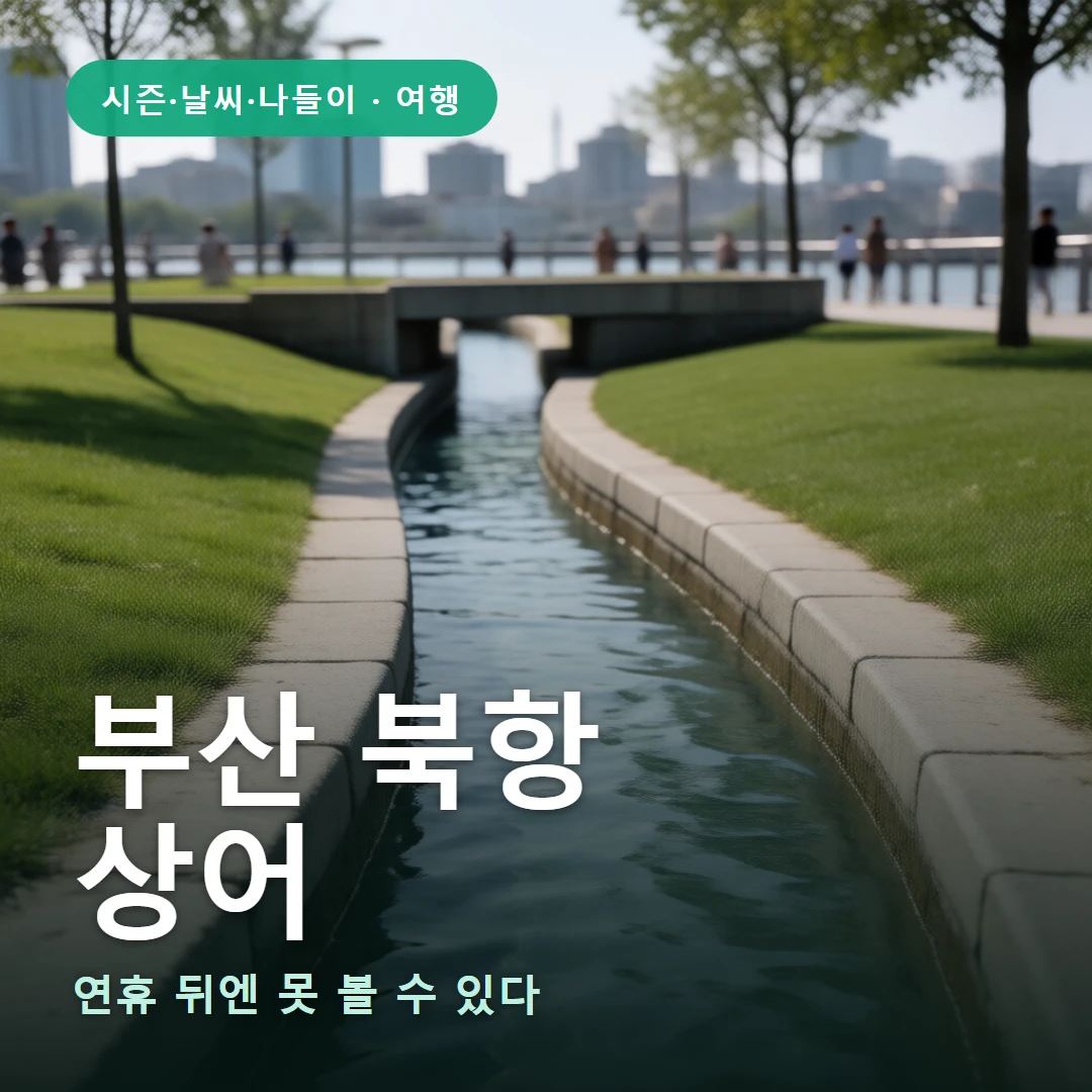 부산 북항 요약 표지 — 연휴 뒤엔 못 볼 수 있다