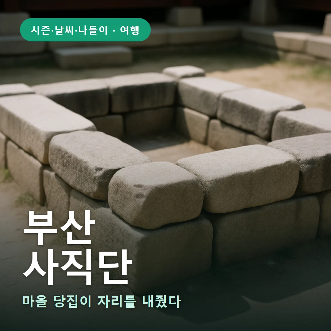 부산 요약 표지 — 마을 당집이 자리를 내줬다