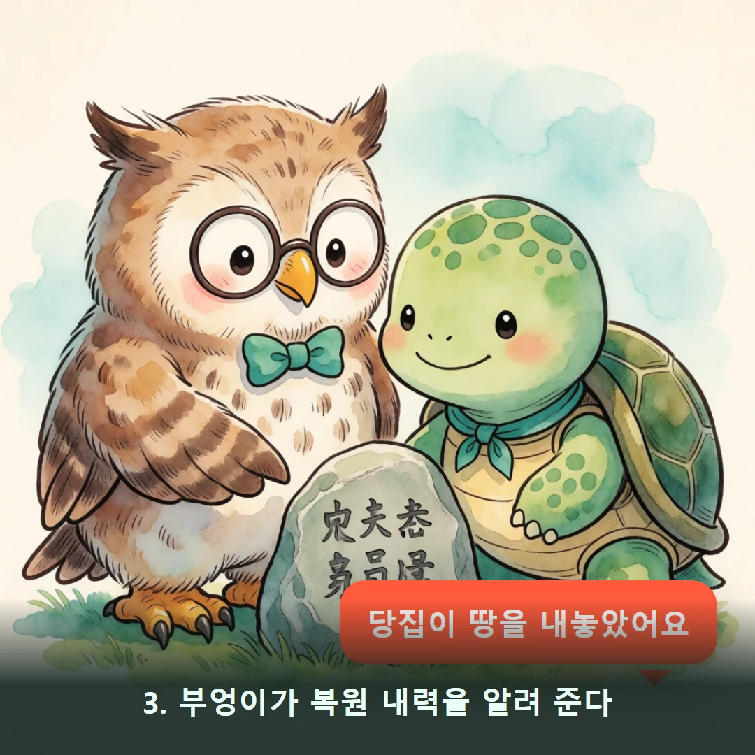 웹툰 3컷 — 3. 부엉이가 복원 내력을 알려 준다 (당집이 땅을 내놓았어요)