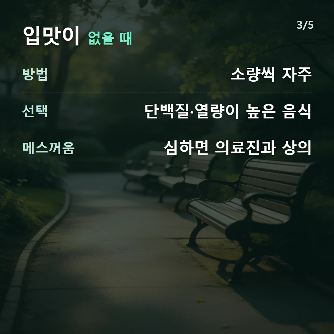 입맛이 없을 때 — 방법 소량씩 자주, 선택 단백질·열량이 높은 음식, 메스꺼움 심하면 의료진과 상의