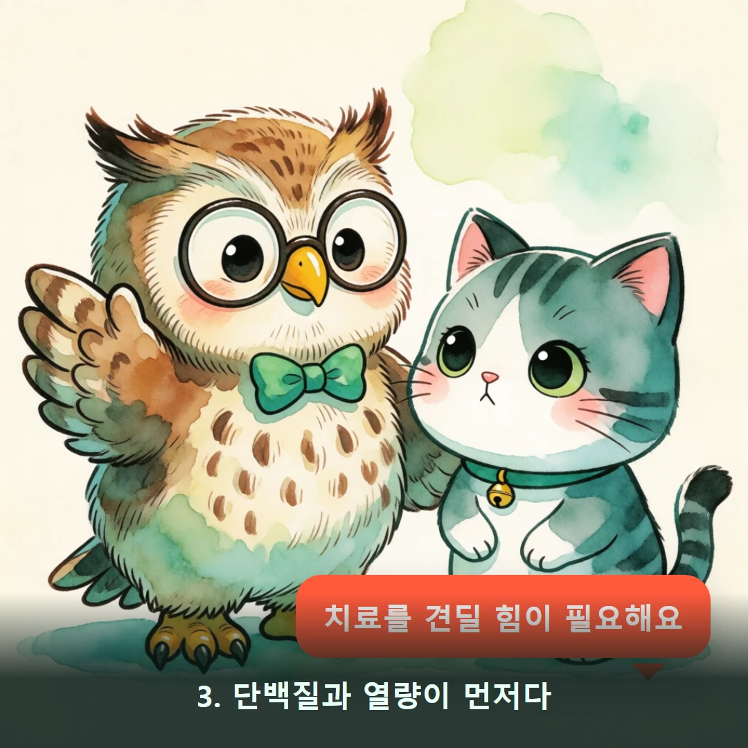 웹툰 3컷 — 3. 단백질과 열량이 먼저다 (치료를 견딜 힘이 필요해요)