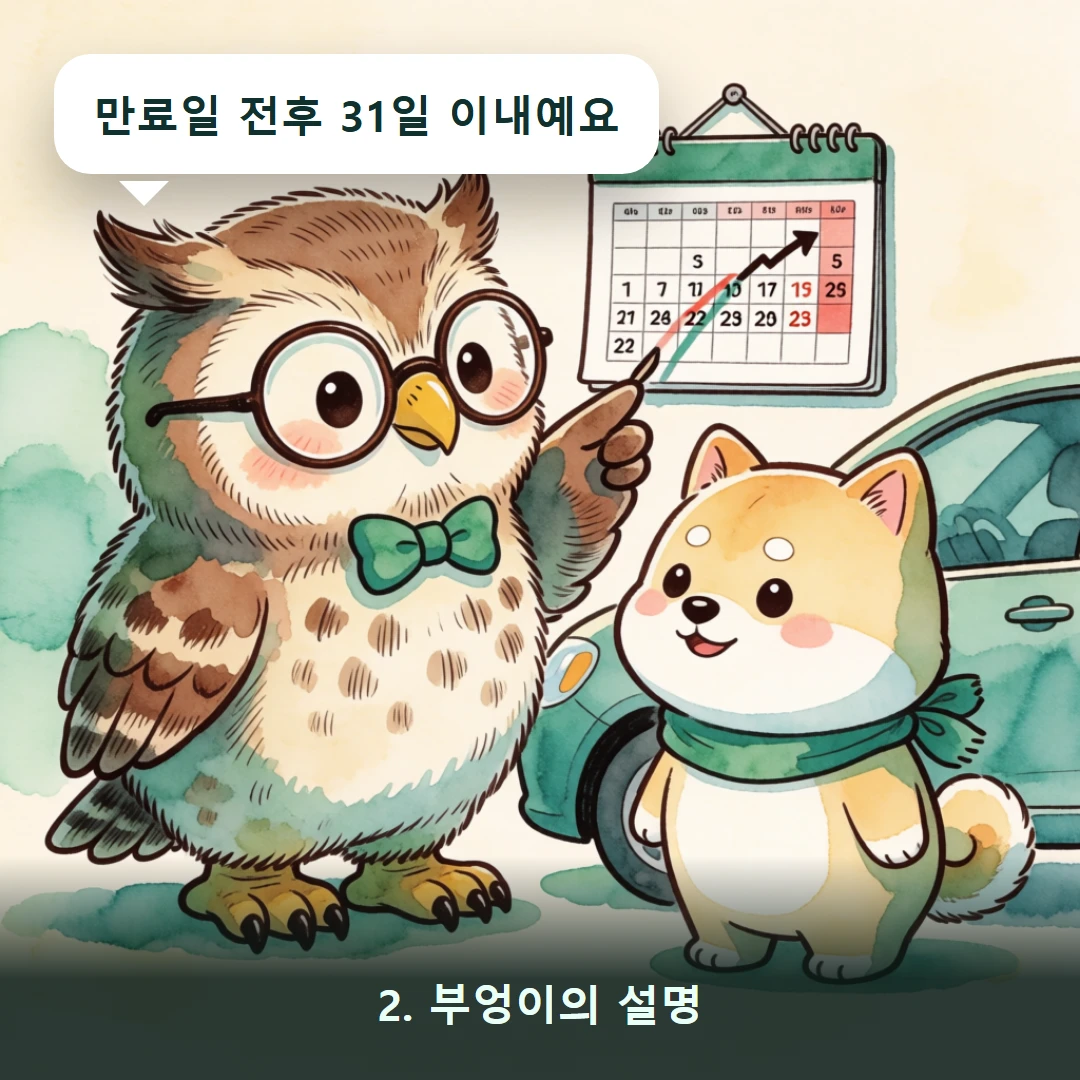 웹툰 2컷 — 2. 부엉이의 설명 (만료일 전후 31일 이내예요)