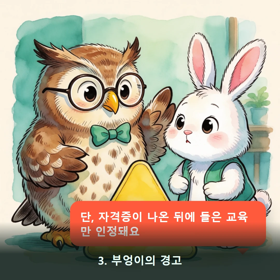 웹툰 3컷 — 3. 부엉이의 경고 (단, 자격증이 나온 뒤에 들은 교육만 인정돼요)