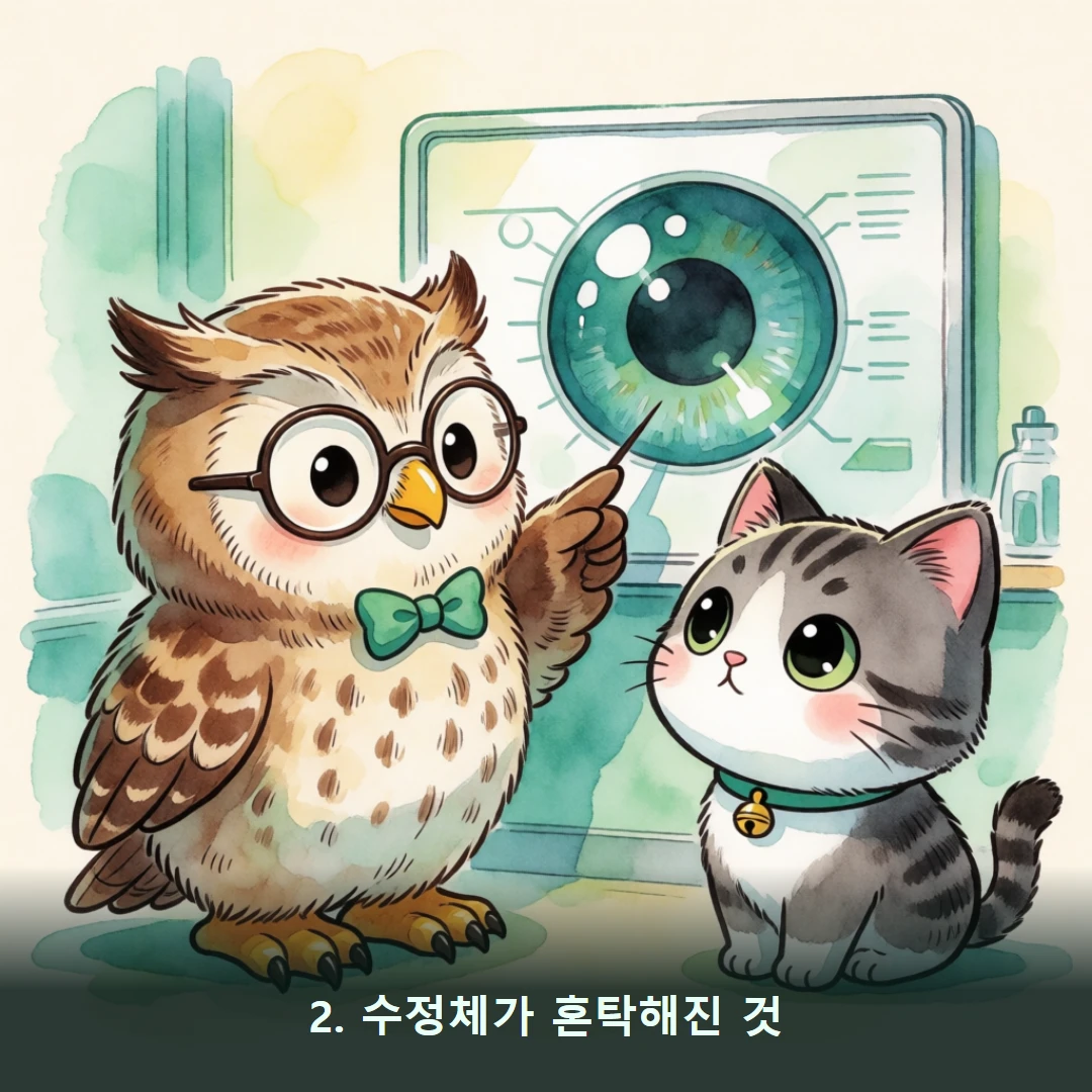 웹툰 2컷 — 2. 수정체가 혼탁해진 것