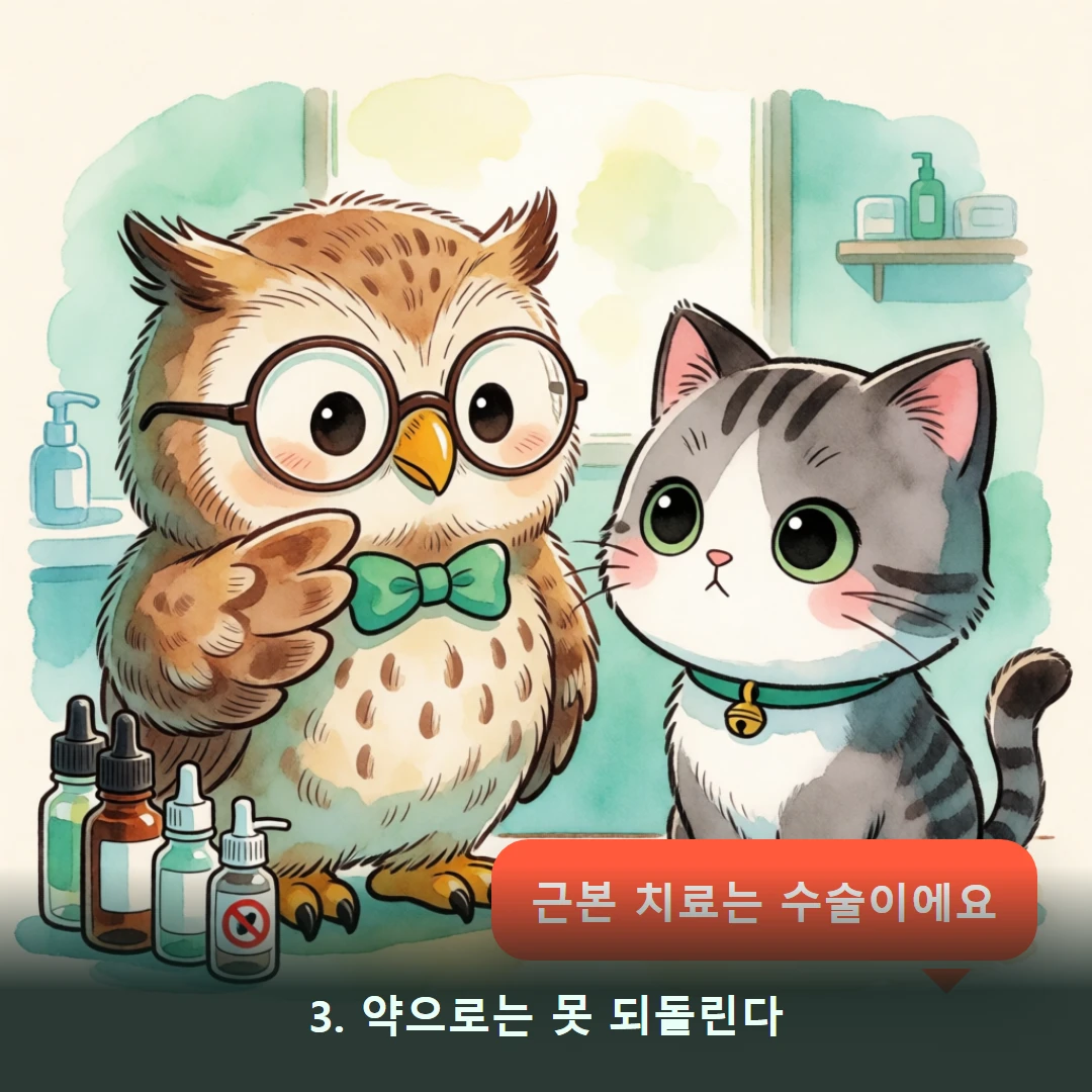 웹툰 3컷 — 3. 약으로는 못 되돌린다 (근본 치료는 수술이에요)