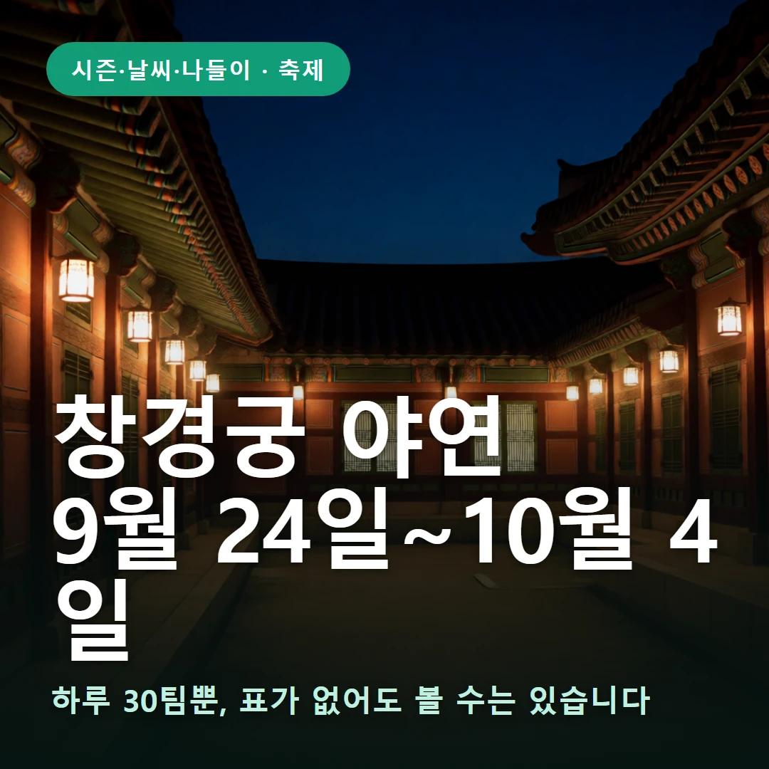 창경궁 야연 요약 표지 — 하루 30팀뿐, 표가 없어도 볼 수는 있습니다