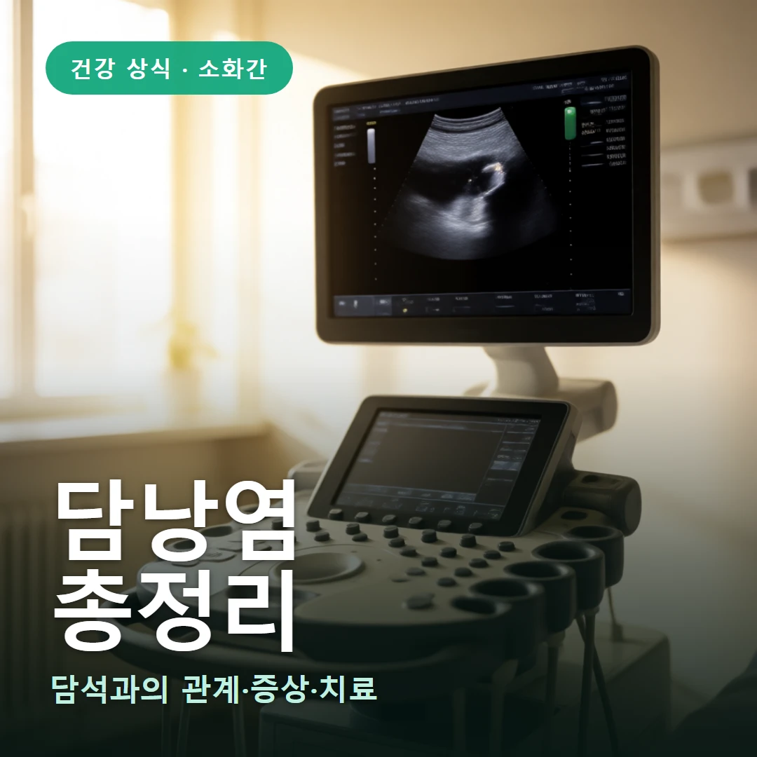 담낭염 요약 표지 — 담석과의 관계·증상·치료