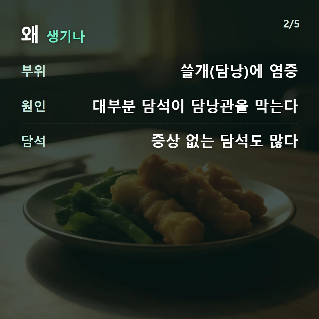 왜 생기나 — 부위 쓸개(담낭)에 염증, 원인 대부분 담석이 담낭관을 막는다, 담석 증상 없는 담석도 많다