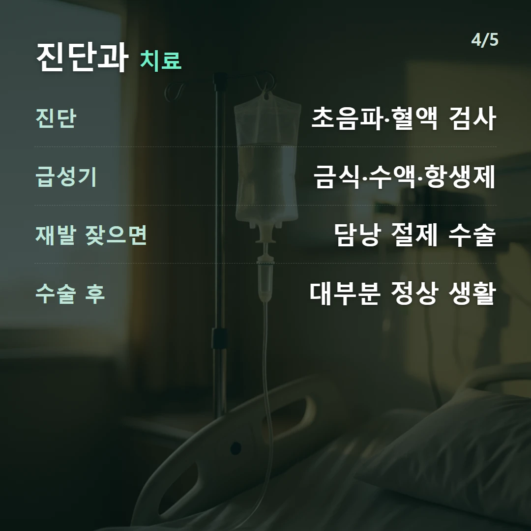 진단과 치료 — 진단 초음파·혈액 검사, 급성기 금식·수액·항생제, 재발 잦으면 담낭 절제 수술, 수술 후 대부분 정상 생활