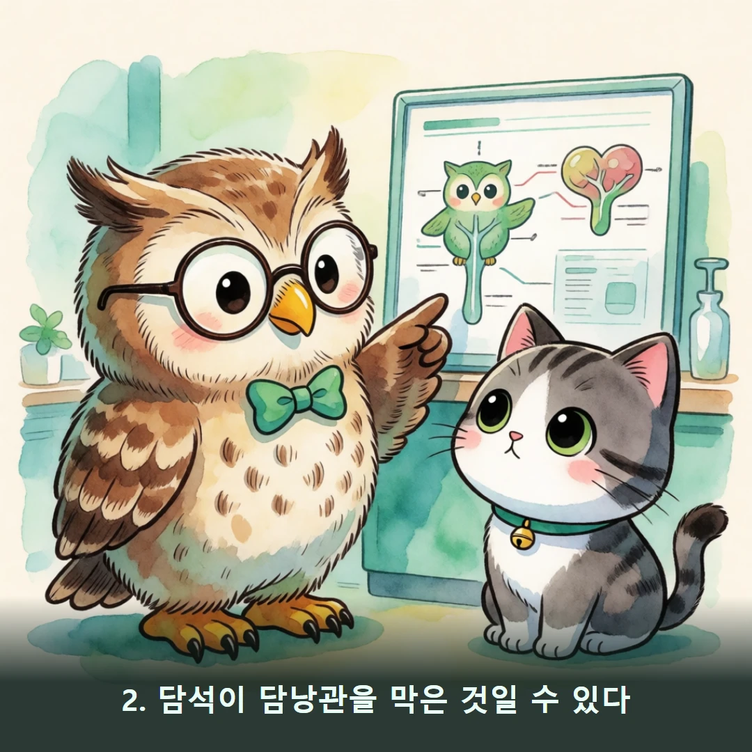 웹툰 2컷 — 2. 담석이 담낭관을 막은 것일 수 있다