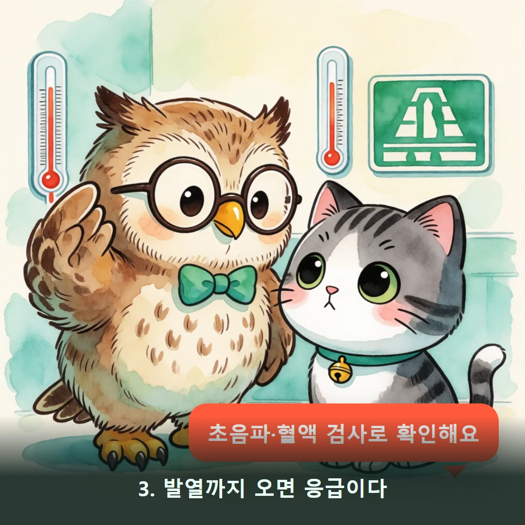 웹툰 3컷 — 3. 발열까지 오면 응급이다 (초음파·혈액 검사로 확인해요)