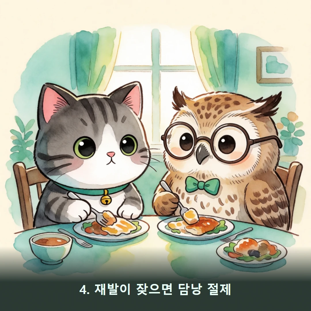 웹툰 4컷 — 4. 재발이 잦으면 담낭 절제