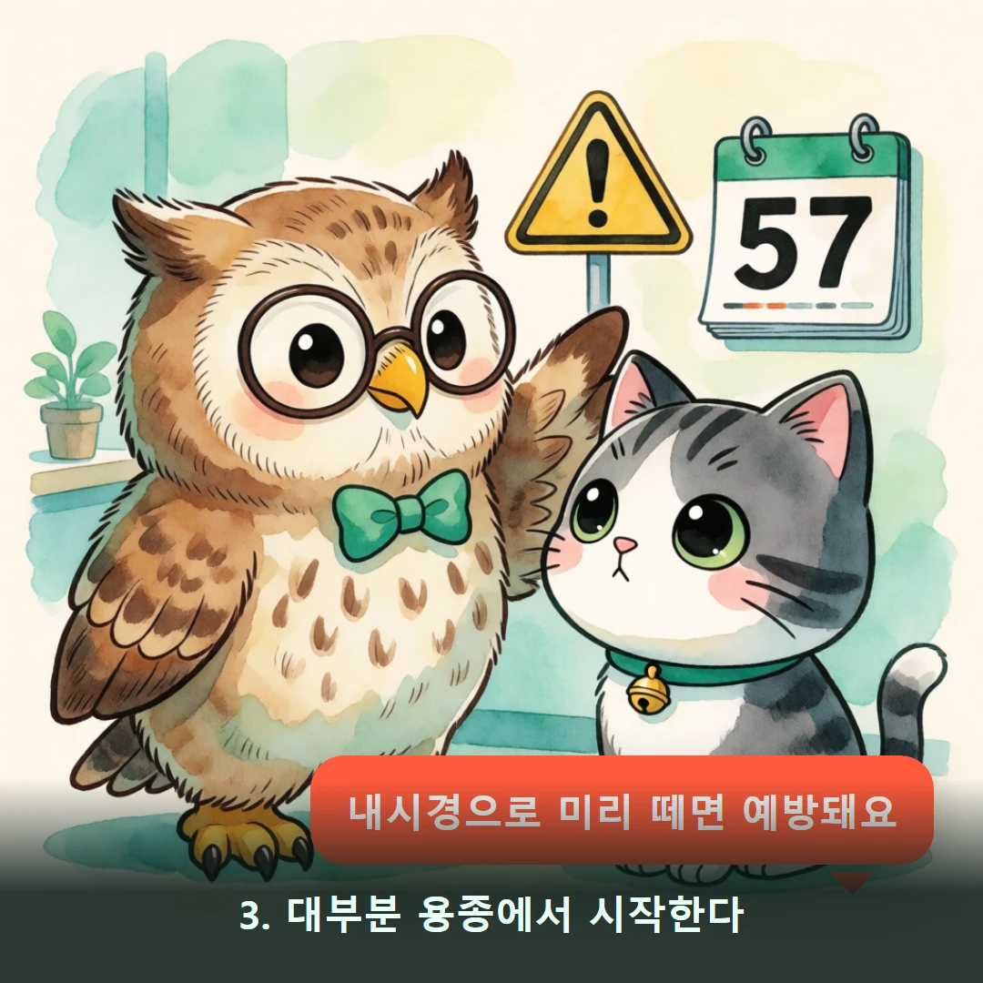 웹툰 3컷 — 3. 대부분 용종에서 시작한다 (내시경으로 미리 떼면 예방돼요)