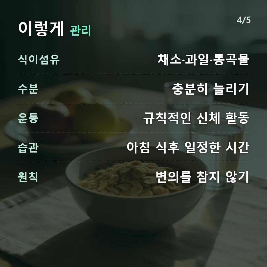 이렇게 관리 — 식이섬유 채소·과일·통곡물, 수분 충분히 늘리기, 운동 규칙적인 신체 활동, 습관 아침 식후 일정한 시간, 원칙 변의를 참지 않기