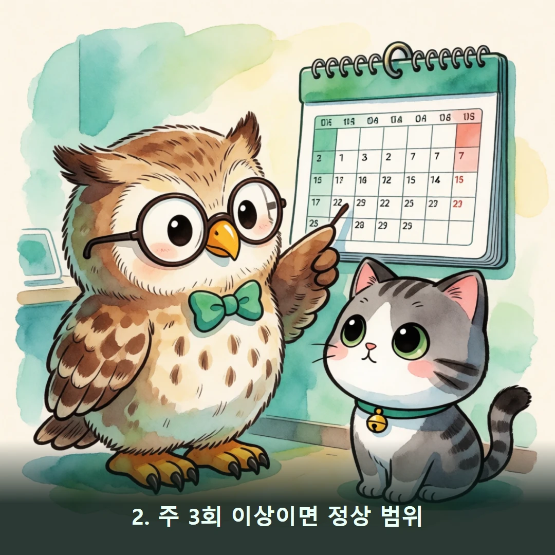 웹툰 2컷 — 2. 주 3회 이상이면 정상 범위